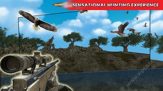 鸟狩猎季节3D iOS版游戏截图（1）