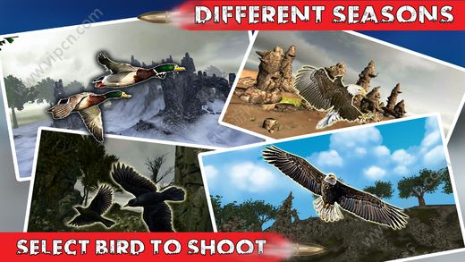 鸟狩猎季节3D iOS版游戏截图（3）
