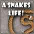 小小贪吃蛇(A Snake’s Life)